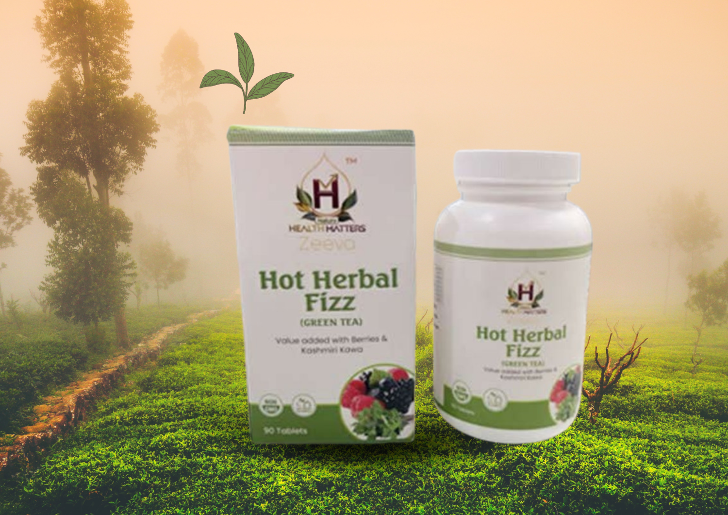 Green Tea (Hot Herbal Fizz)