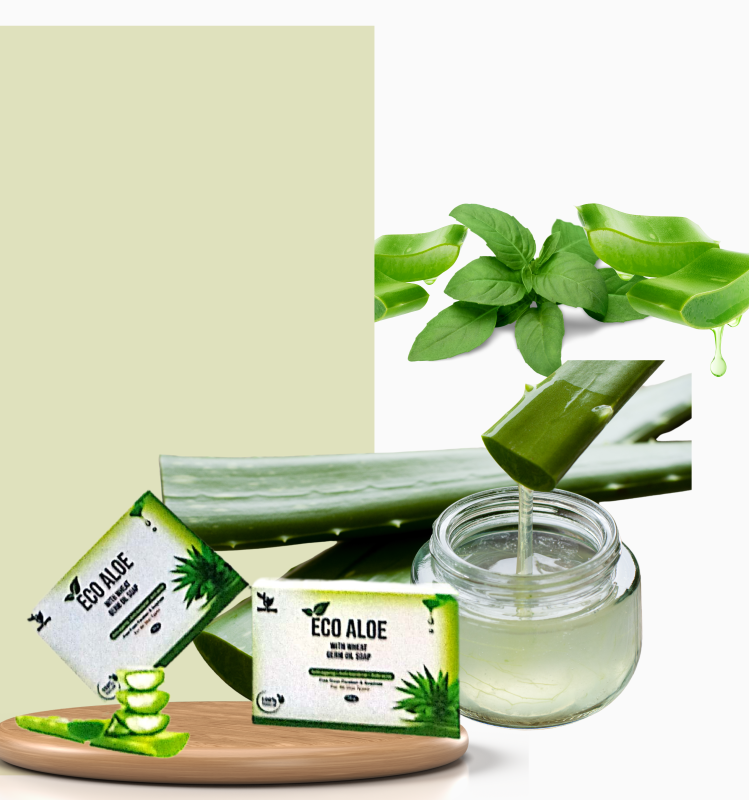 Eco Aloe Soap